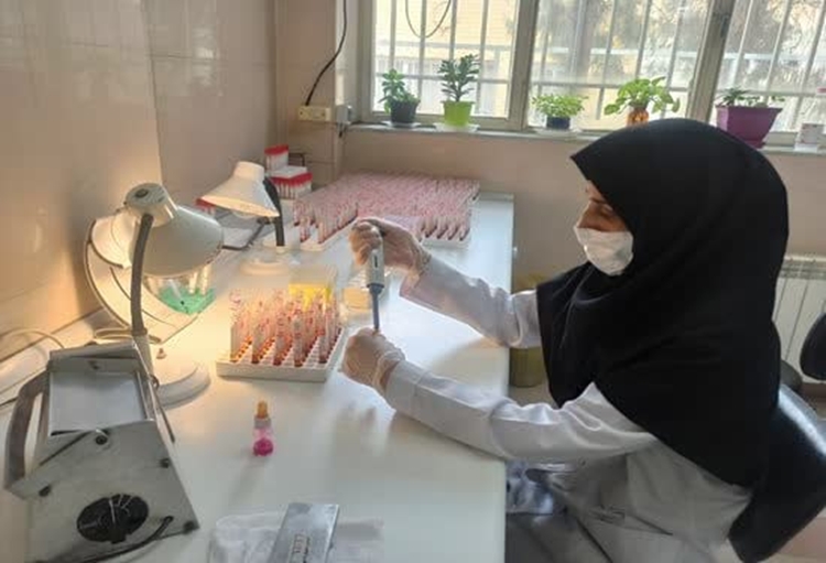 نمونه گیری سرمی بیماری بروسلوز در حدود 49 هزار راس گاو در گاوداری های شهرستان اصفهان